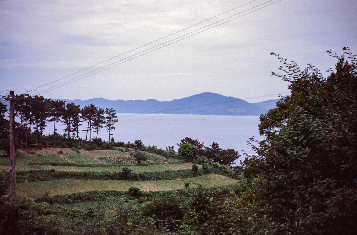 496- Fields with view to Water and Mainland?