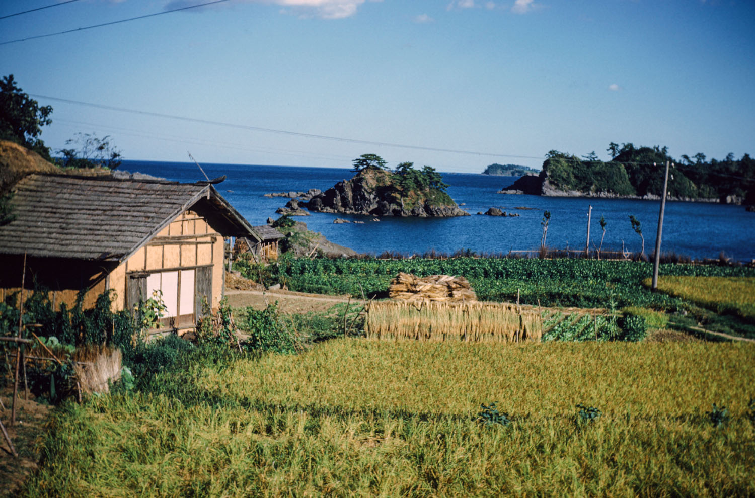 507- Farm with Island in Distance- Isatomae