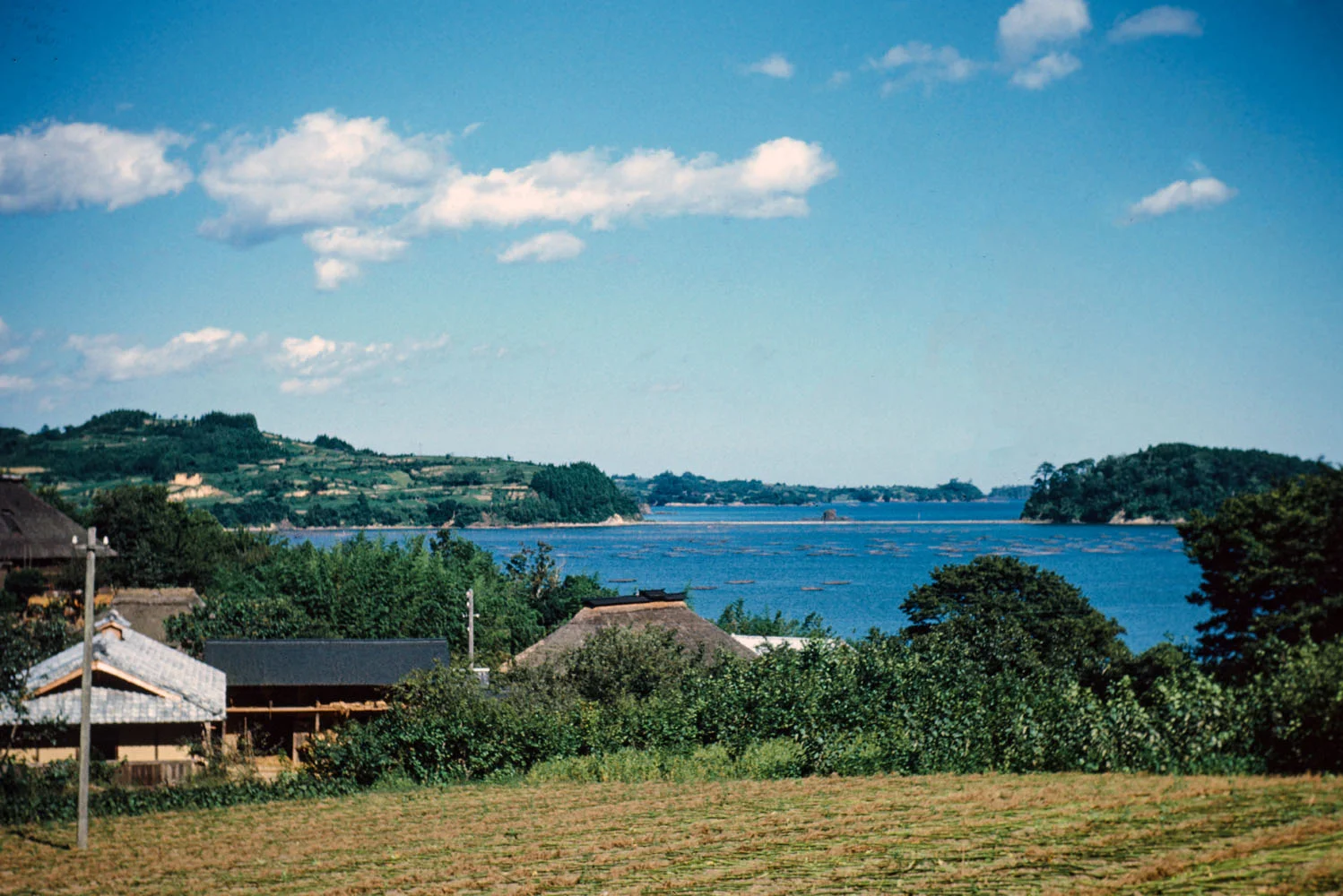 512- View to Harbor