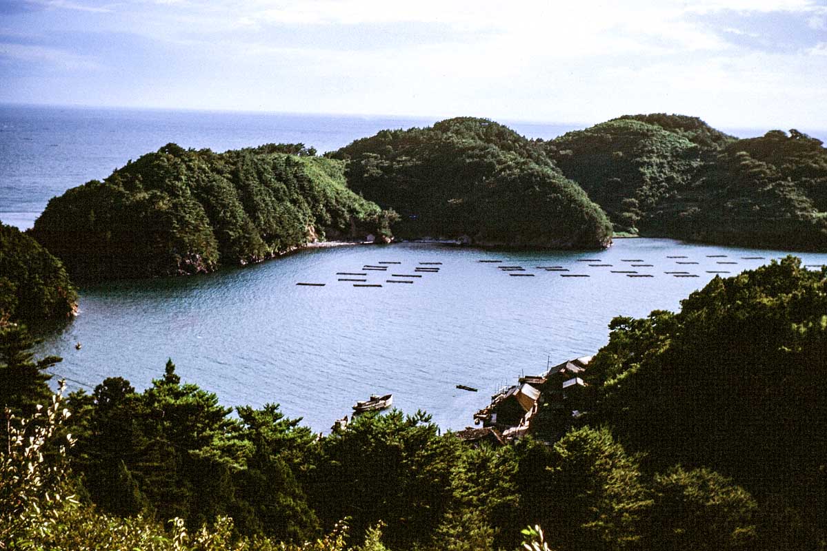 99-Oshika Peninsula15_280x186.jpg