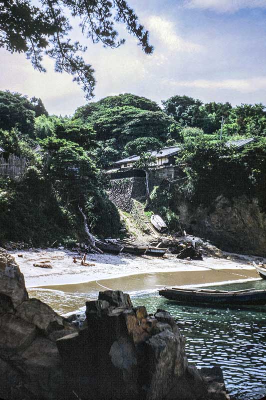 494-Tashiro Shima03_124x186.jpg