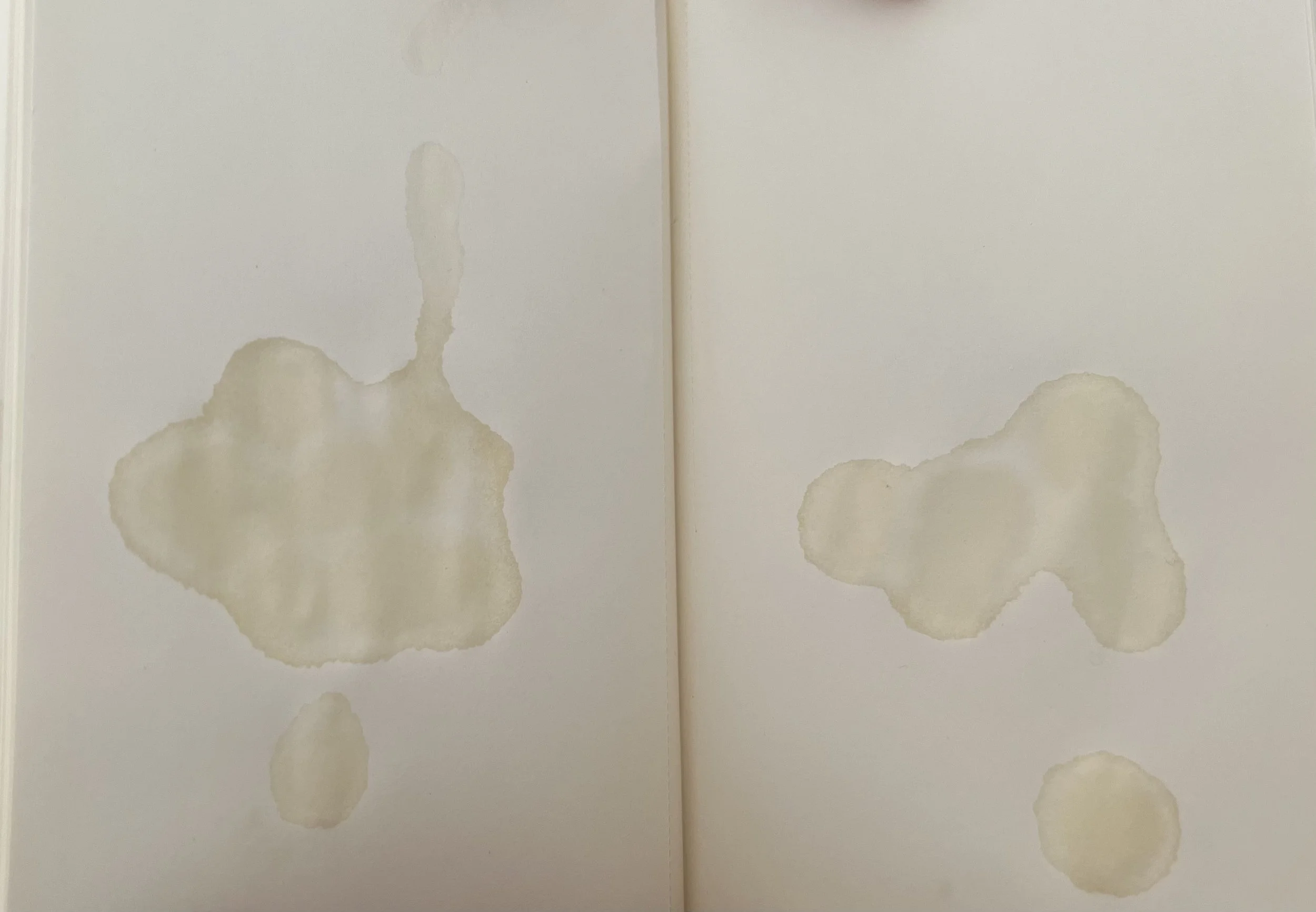  breastmilk on paper  2021-2022 