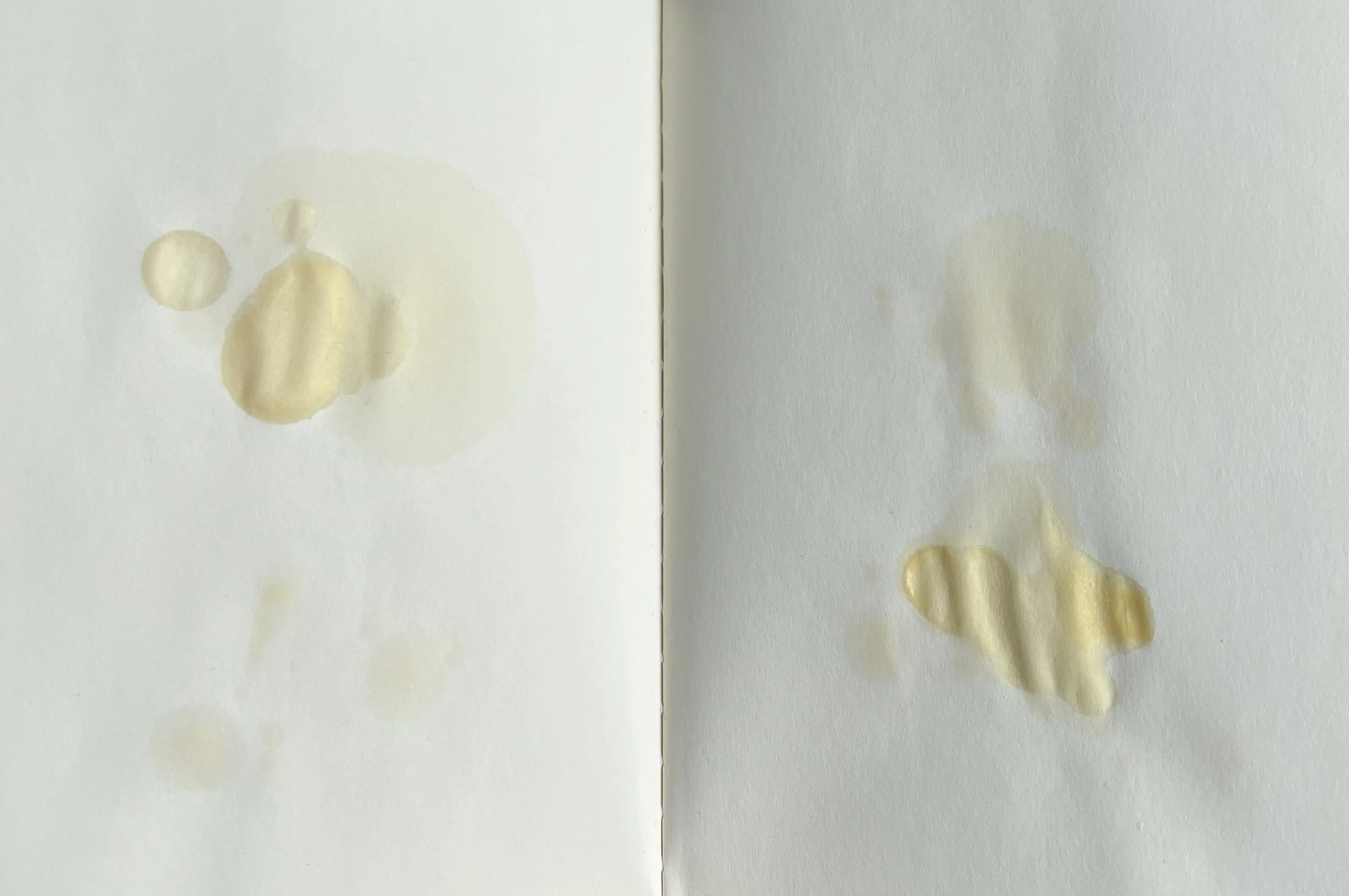  breastmilk on paper  2021-2022 