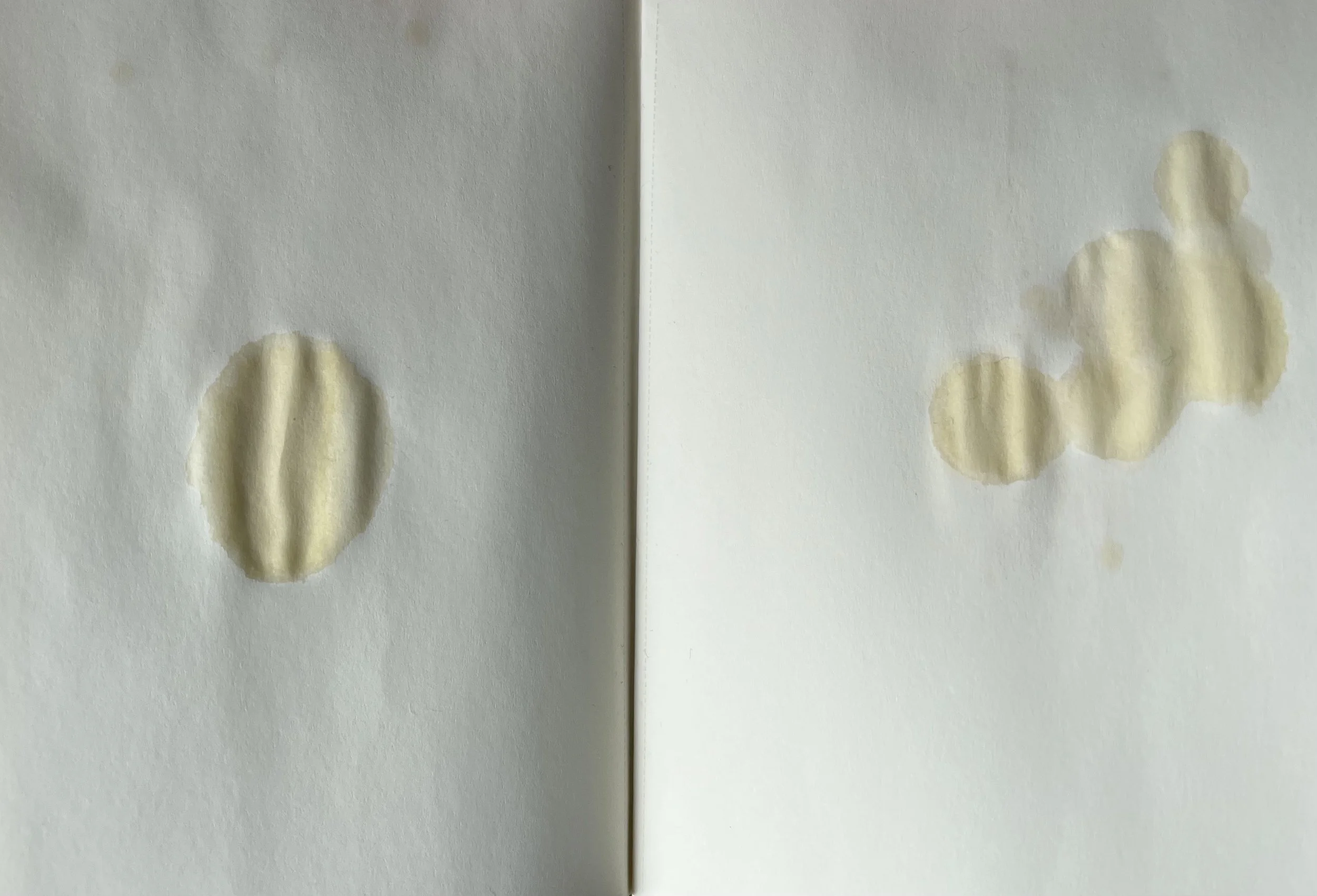  breastmilk on paper  2021-2022 