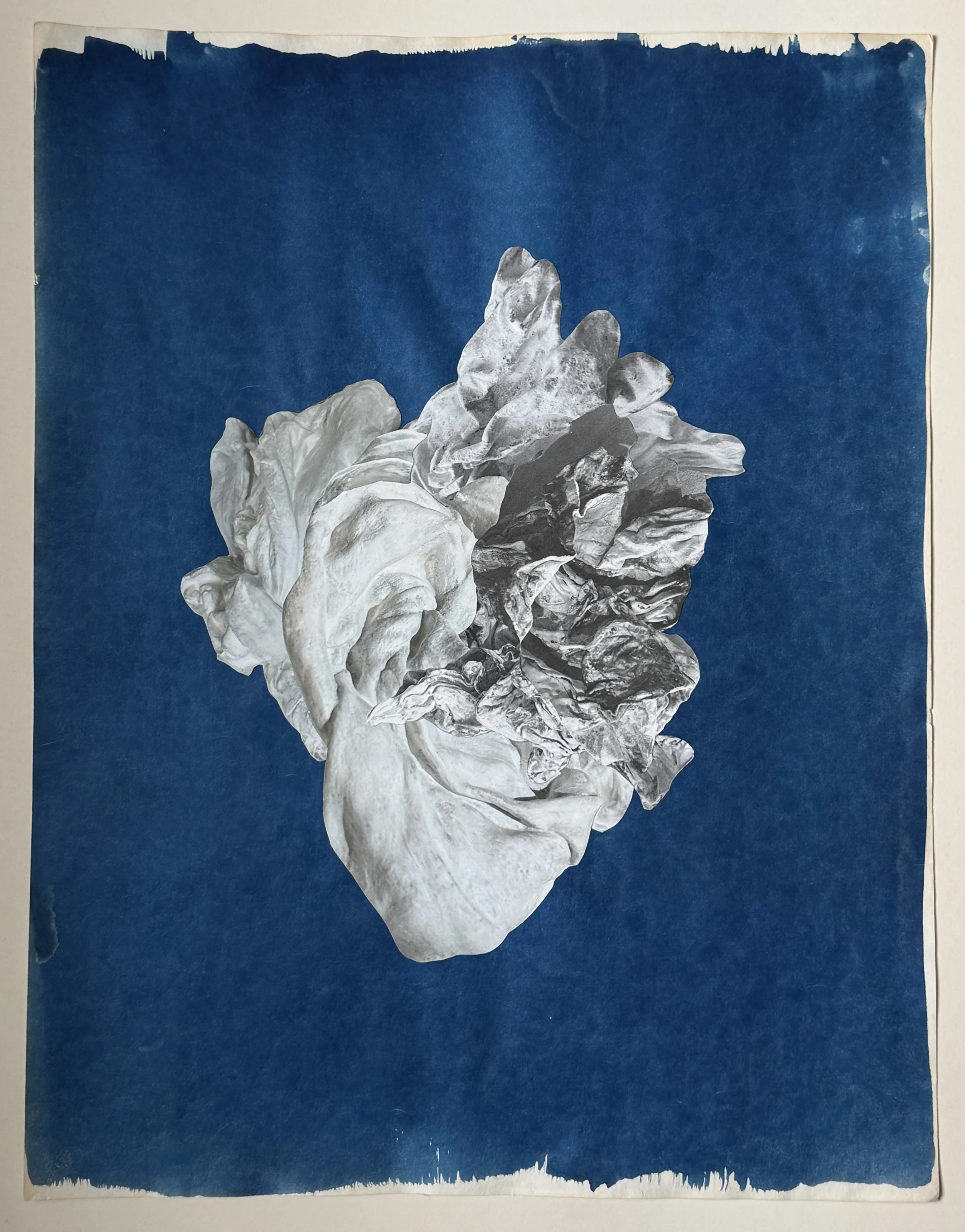  Collage on cyanotype paper  17 × 22 inches 