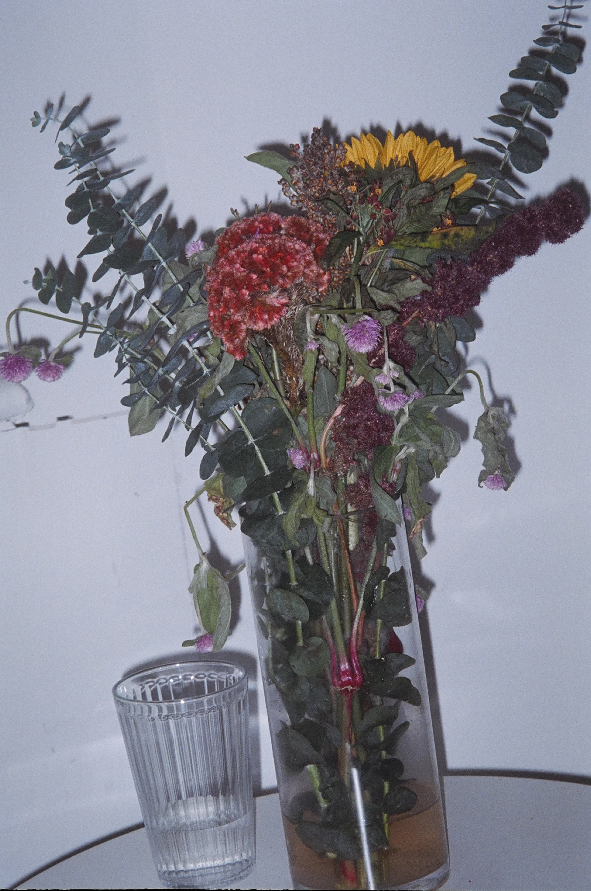 02370019.JPG