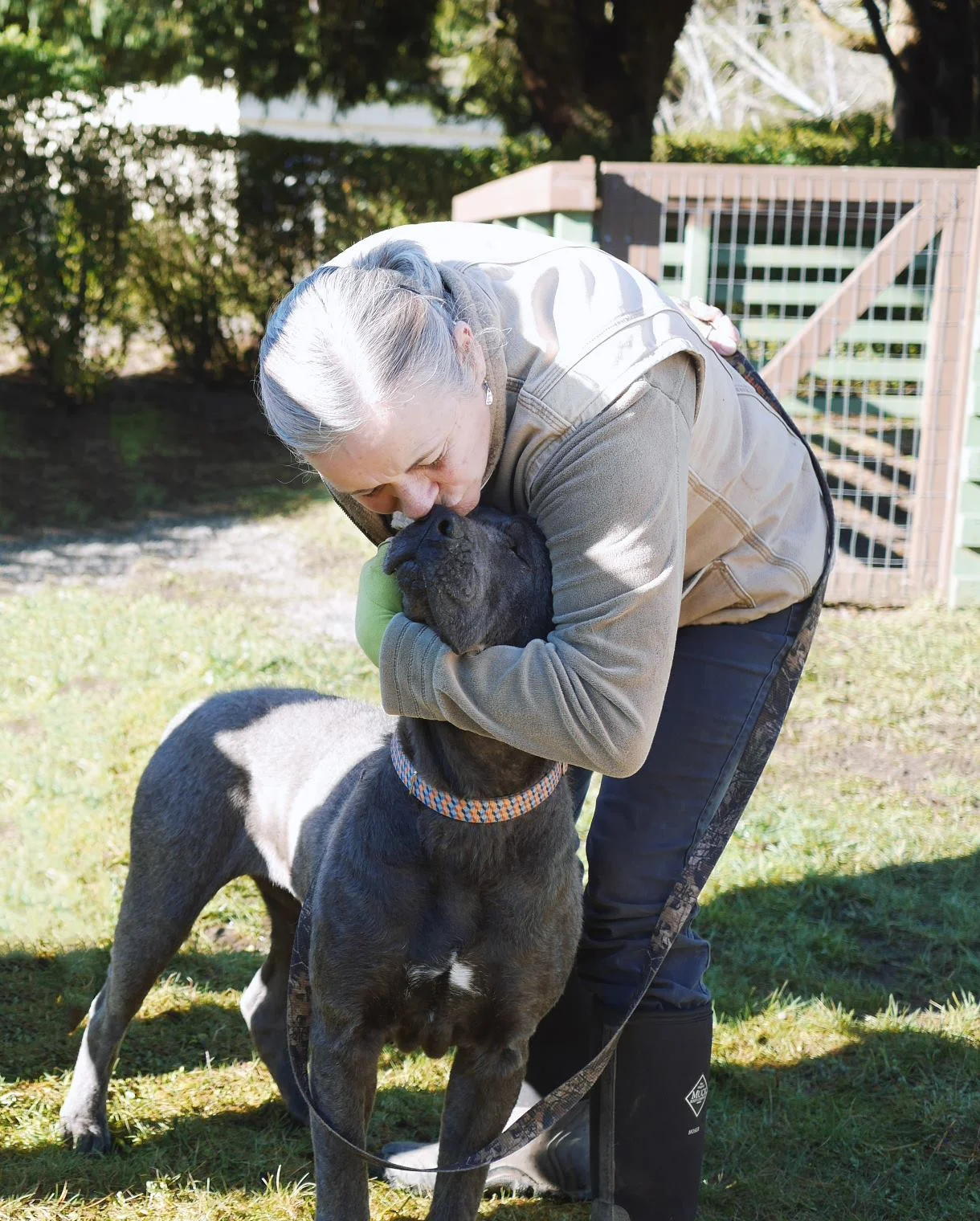 Del Norte Animal Control Shelter volunteer Sandy loves on Gracie, an abused and neglected dog in their care.
