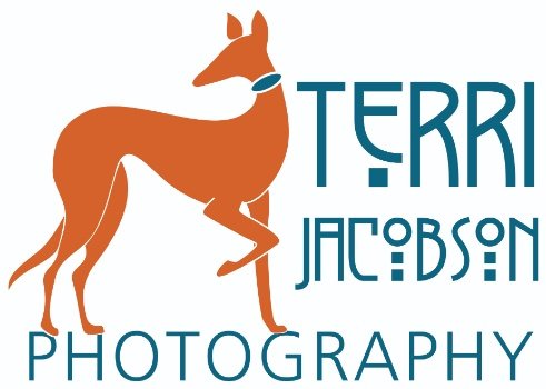TerriJacobsonLogo.jpeg