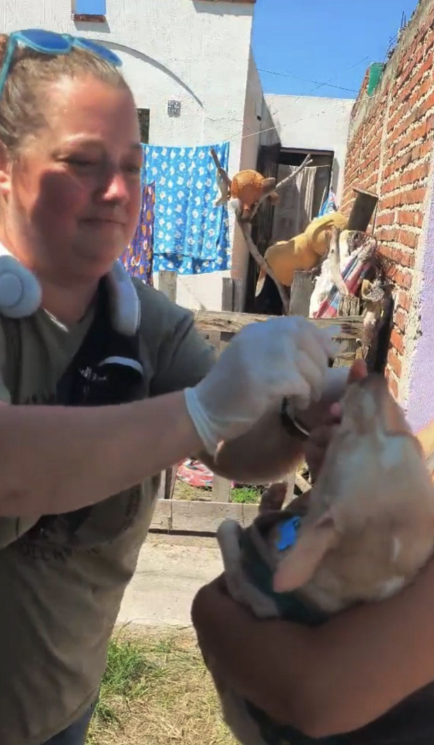 &nbsp;A Journey of Compassion: Volunteering with The MexiMutt Project