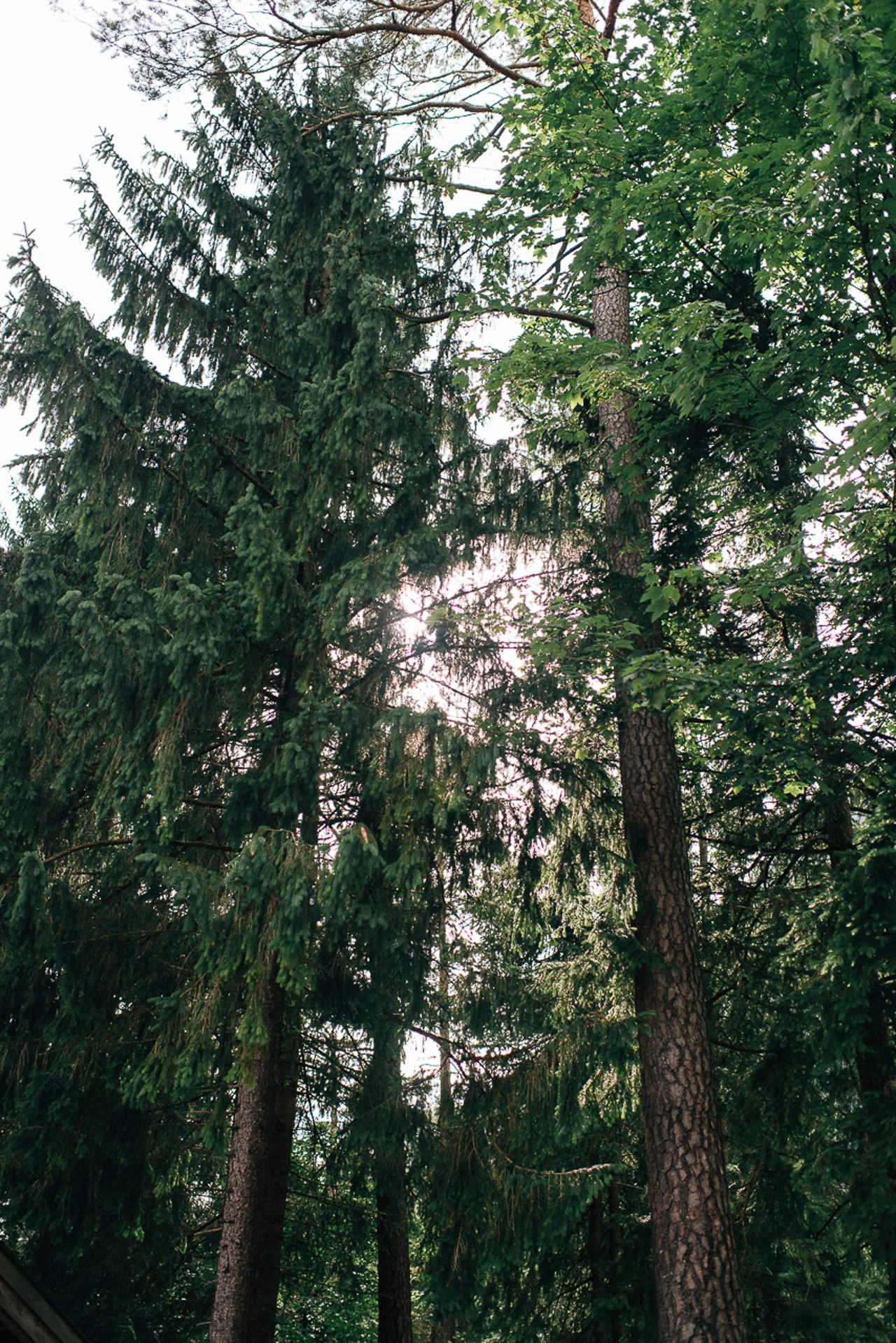 PFH_9331.jpg