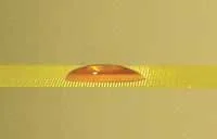 MagicMeshPrepWaterDropLow.200w.jpg