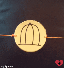 Thaumatrop.gif