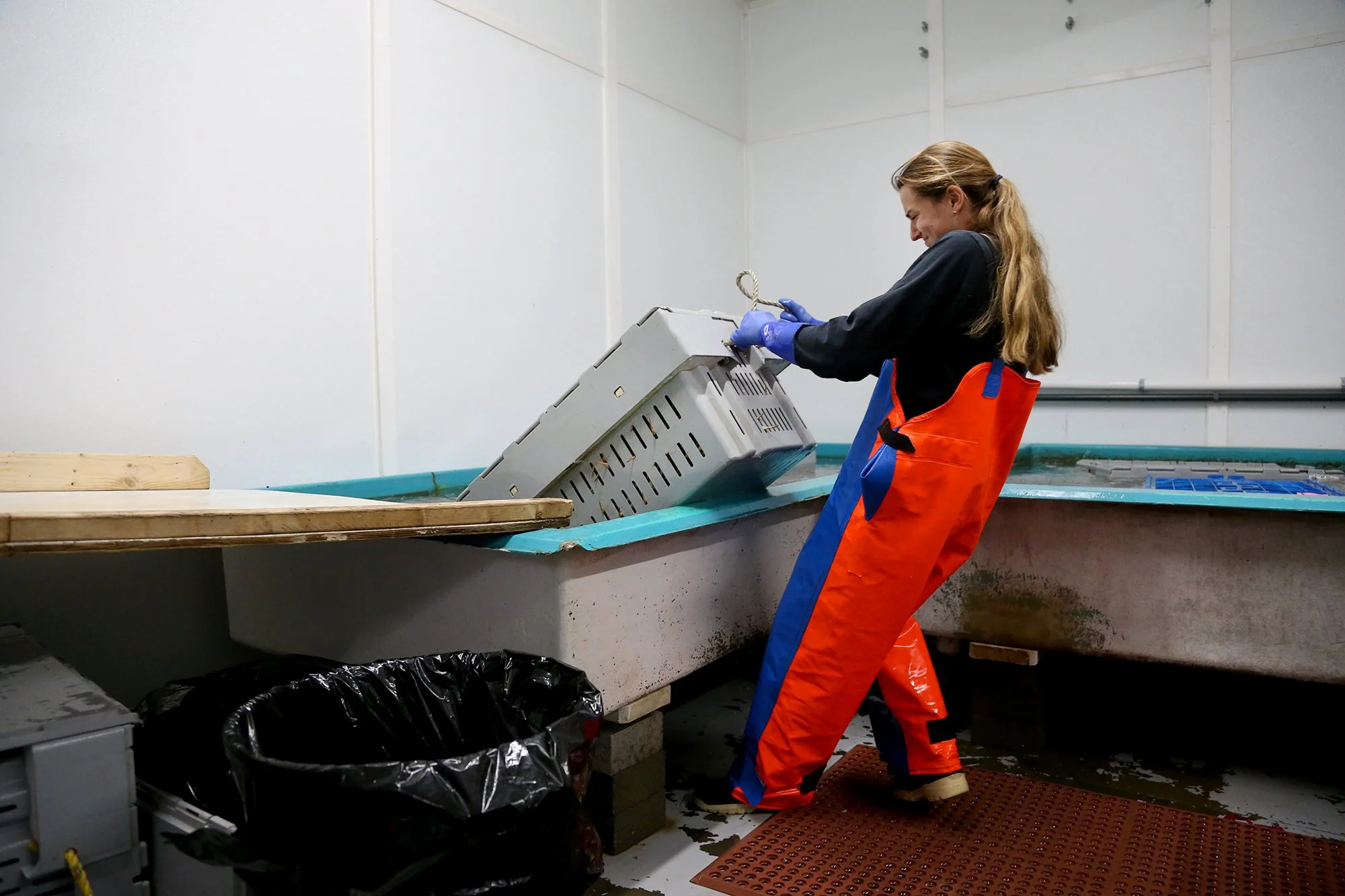 From left, Jillian Robillard carries a crate that weighs over 100 pounds out of the water to process at Jillian’s facility in Kittery on September 17, 2021.
