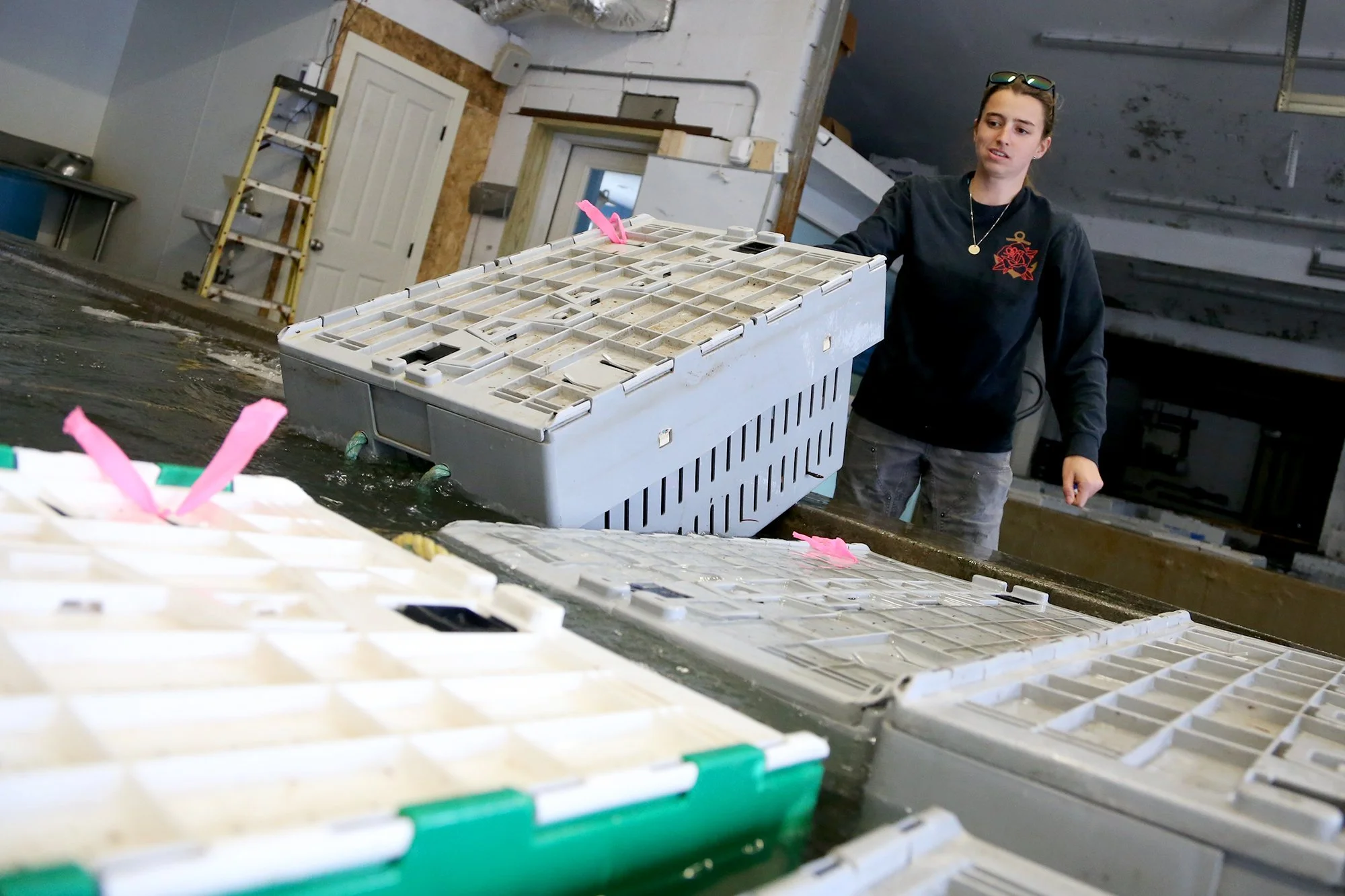 Jillian Robillard delivers four crates of crabs and lobsters to Southern Maine Lobster Company in York on September 17, 2021.