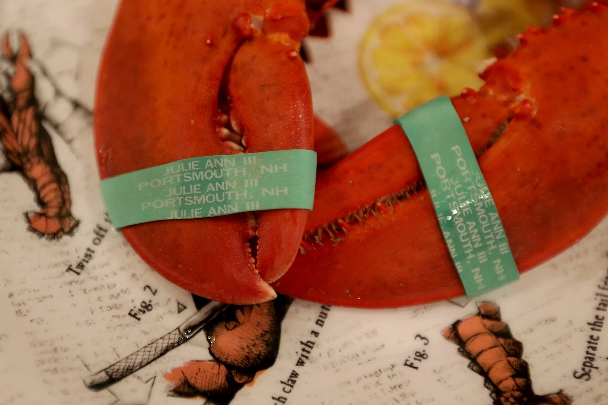 Dennis Robillard bands his lobster claws with the name of his boat, Julie Ann III.