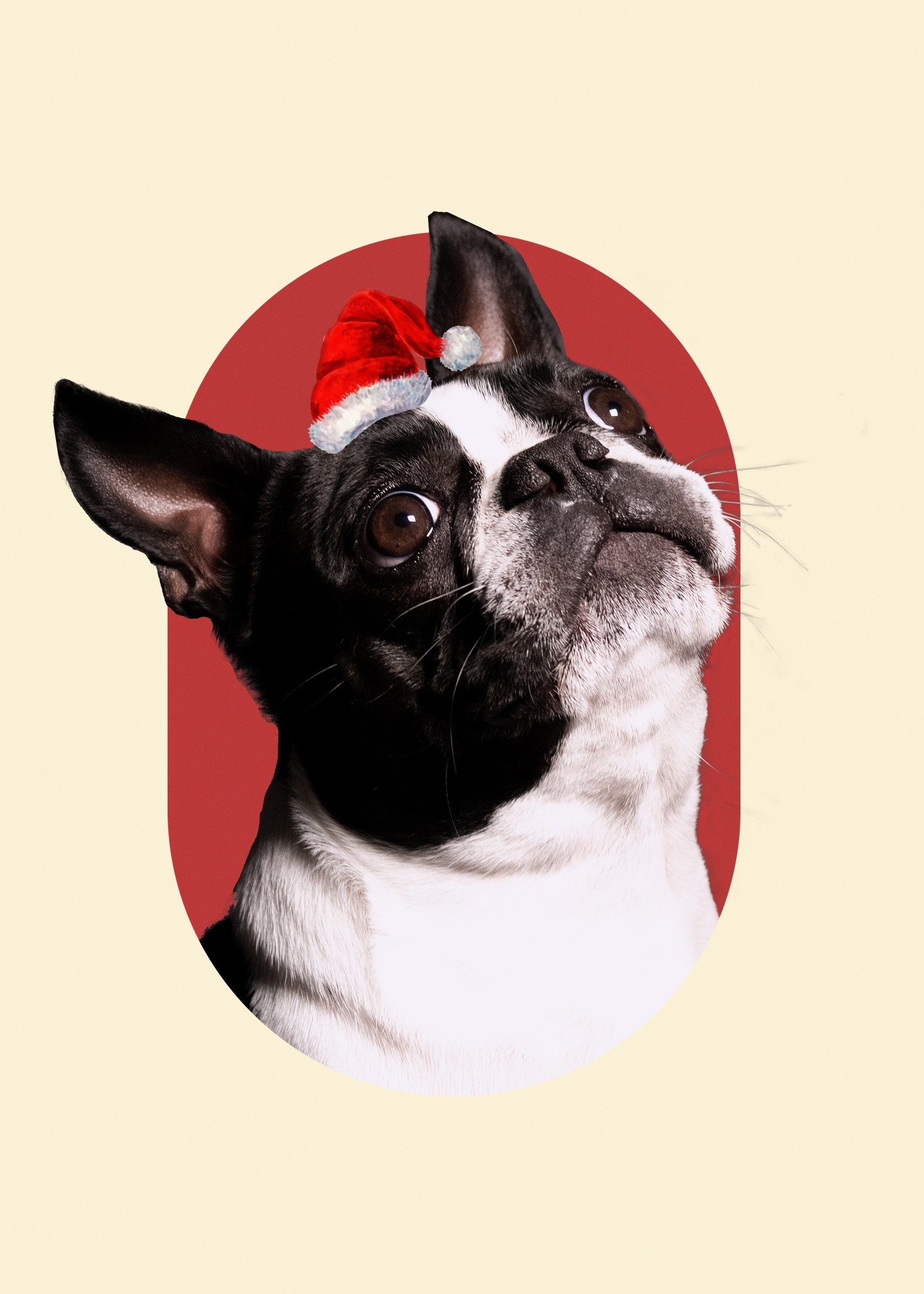 option2_Back copy 2.jpg