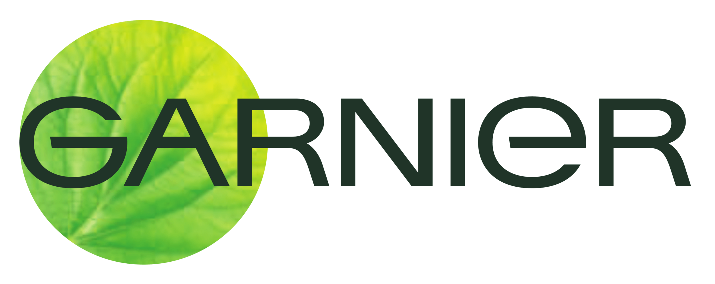 Garnier_logo.png