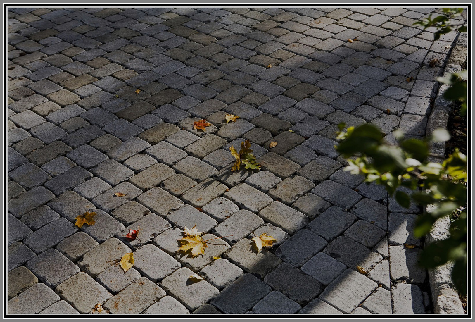 Tumbled natural stone paver driveway. 