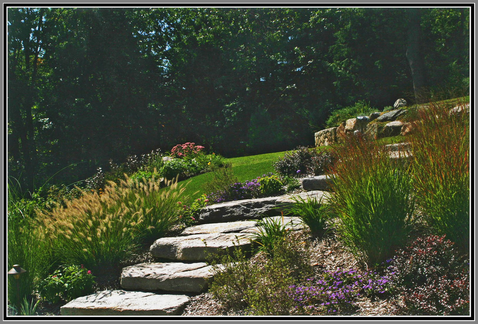 Plantings with ornamental grass