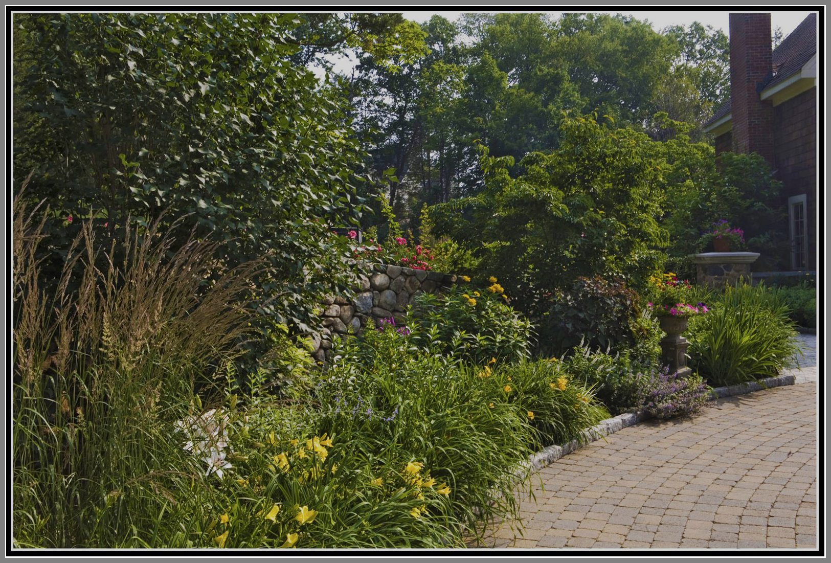 Courtyard perennial Garden