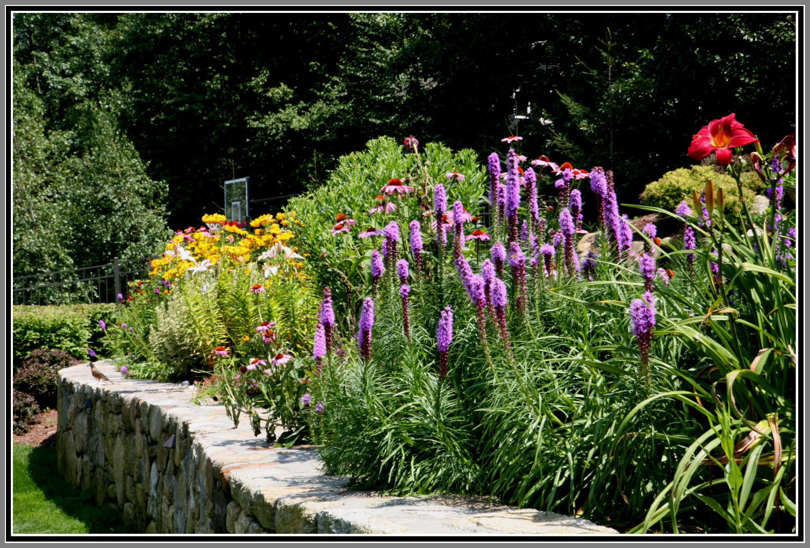 Cut flower Garden by Artistic Outdoors