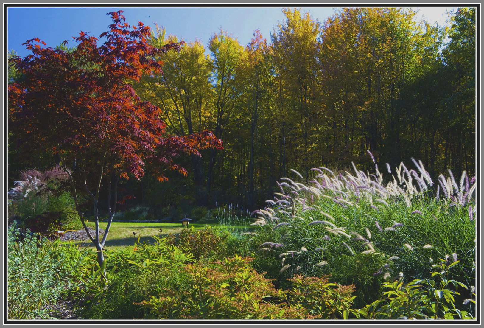 Planting design by Artistic Outdoors