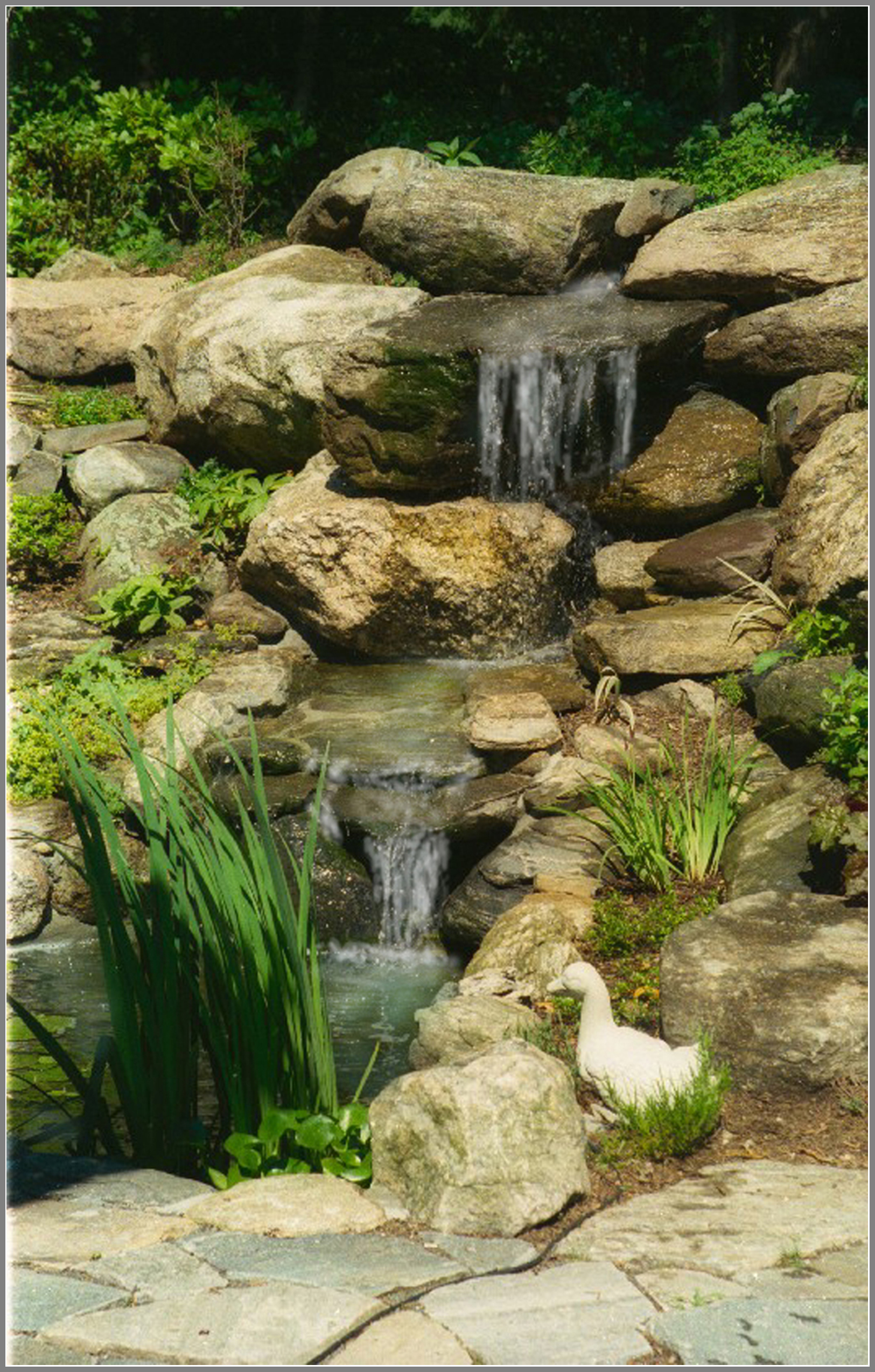 Waterfalls, water garden