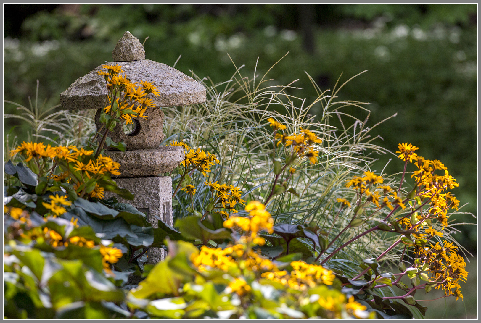 Japanese stone lantern