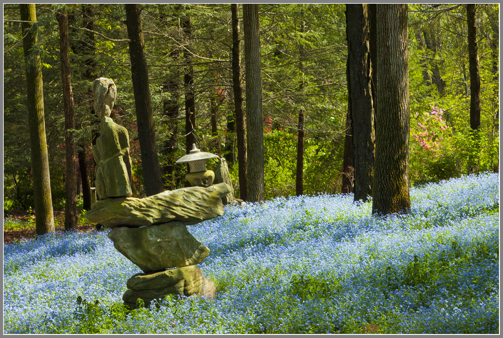 Stone art and lantern in flower field