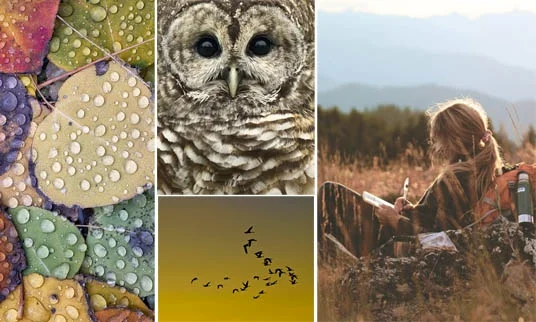 Washed Earth: a mosaic contest
