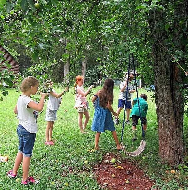 Homeschool Chronicles:  Teamwork