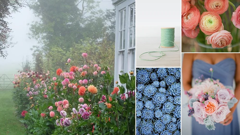 Soft Botanical Winners!