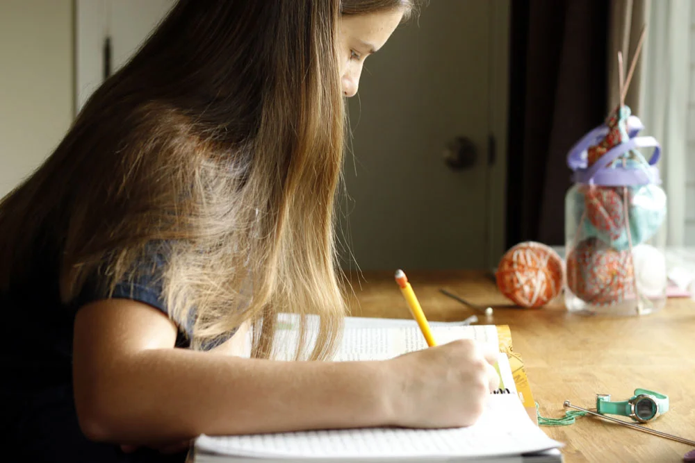 Homeschool Chronicles:  coming Home