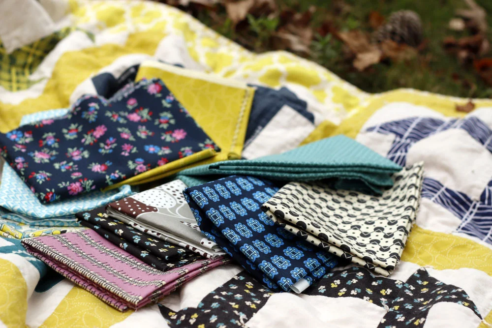  a bundle of Denyse Schmidt treasures