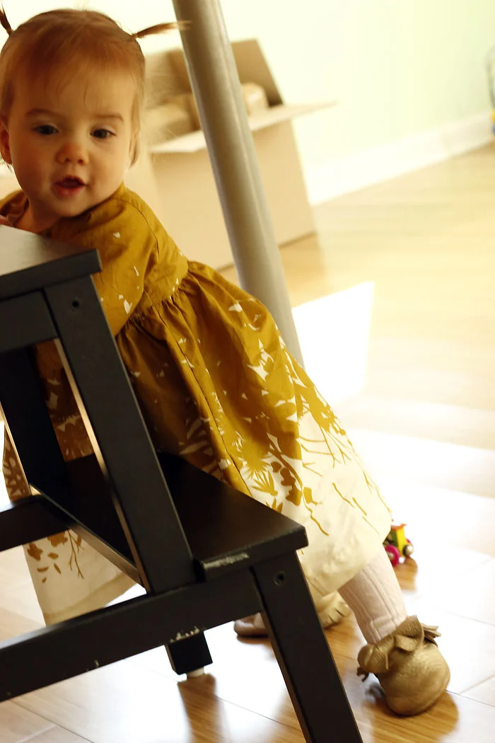 _MG_3566lg.jpg