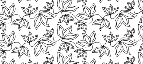 Maple Leaf
