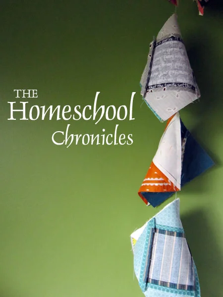 Homeschool Chronicles:  the reluctant homeschooler