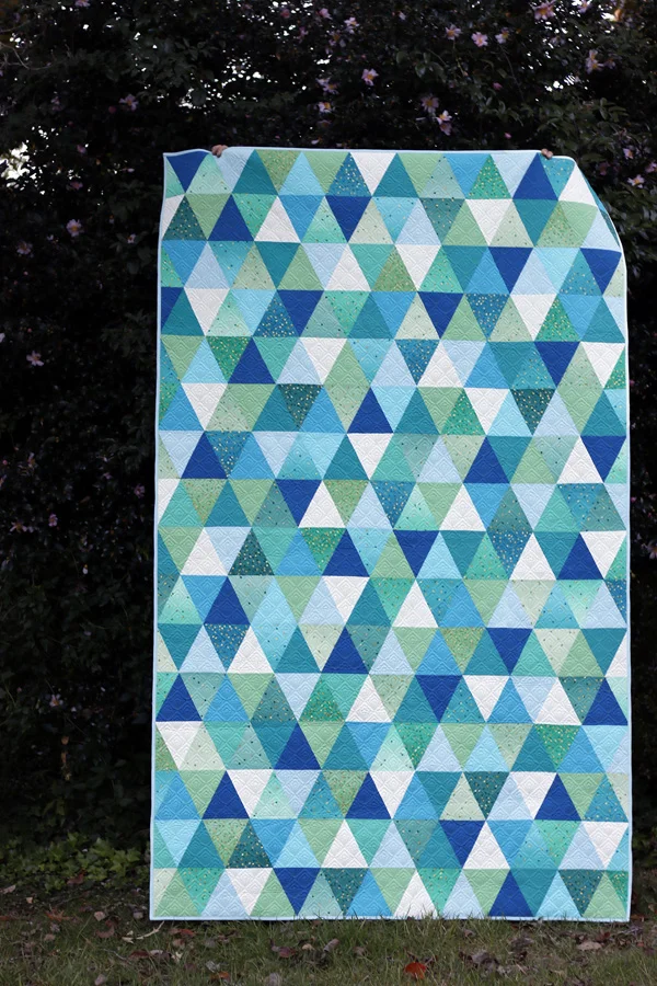 Aria's Twin sized quilt. Stitched in Color.jpg