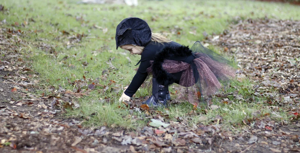 Rora with leaves. Stitched in Color.jpg