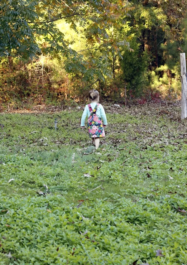 Elora exploring. Stitched in Color.jpg