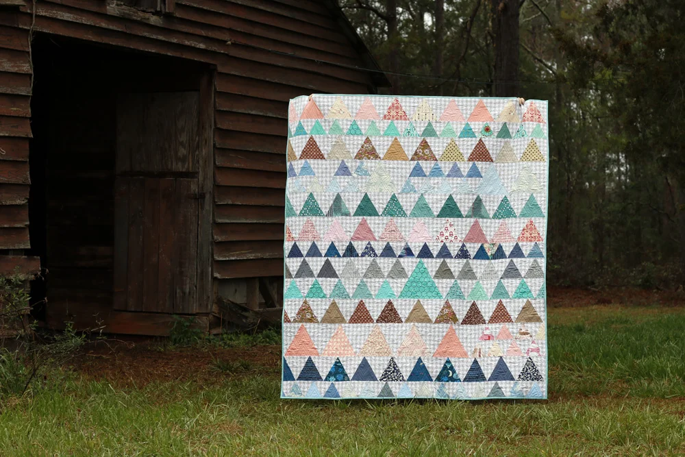 Indian Blanket quilt. Stitched in Color.jpg