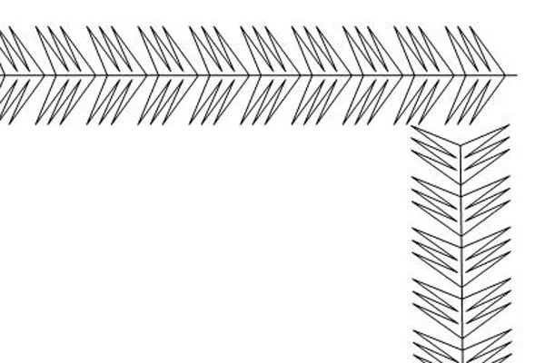 Pine Needles