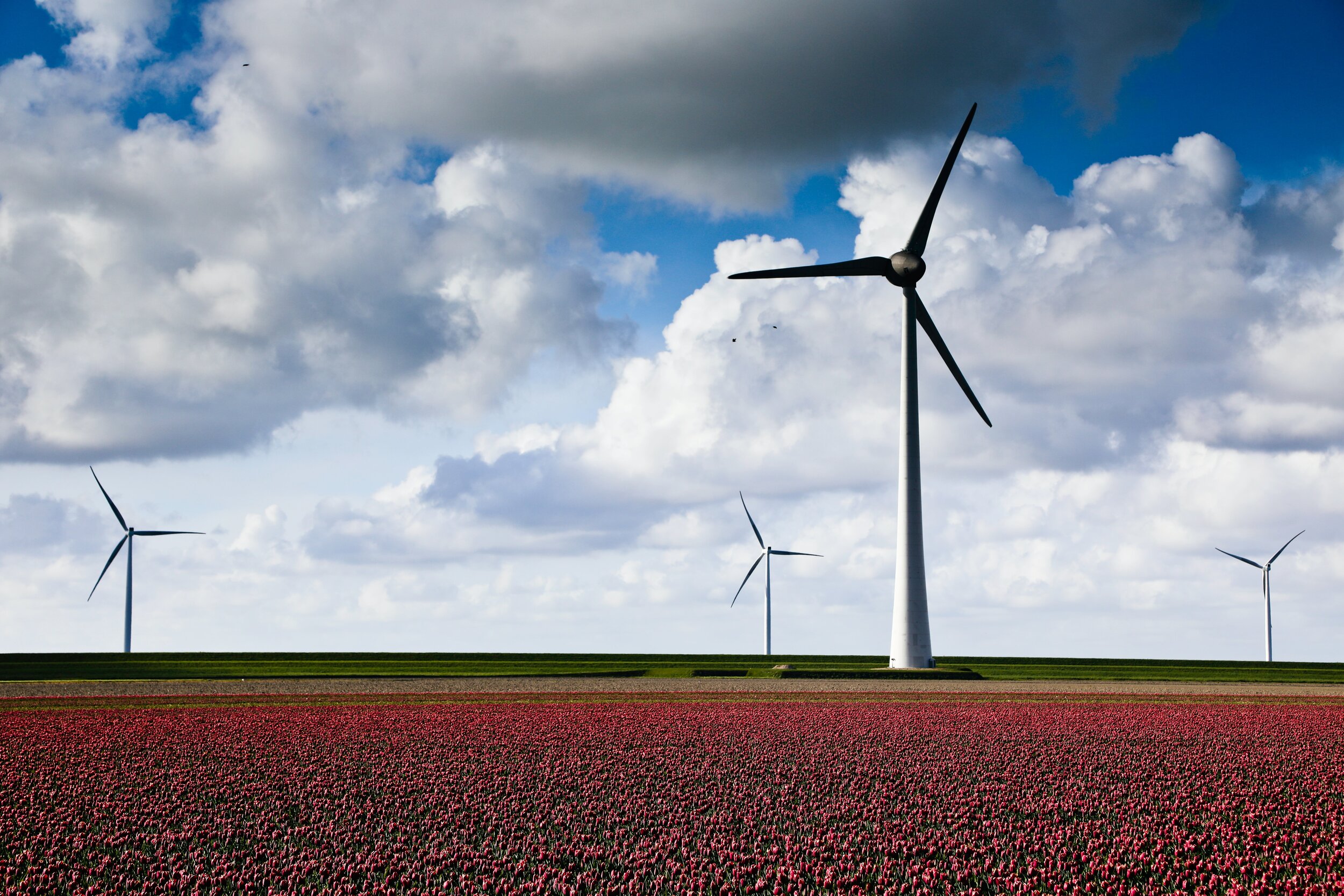 Expat Chronicles: Energy Bills and Efficiency
