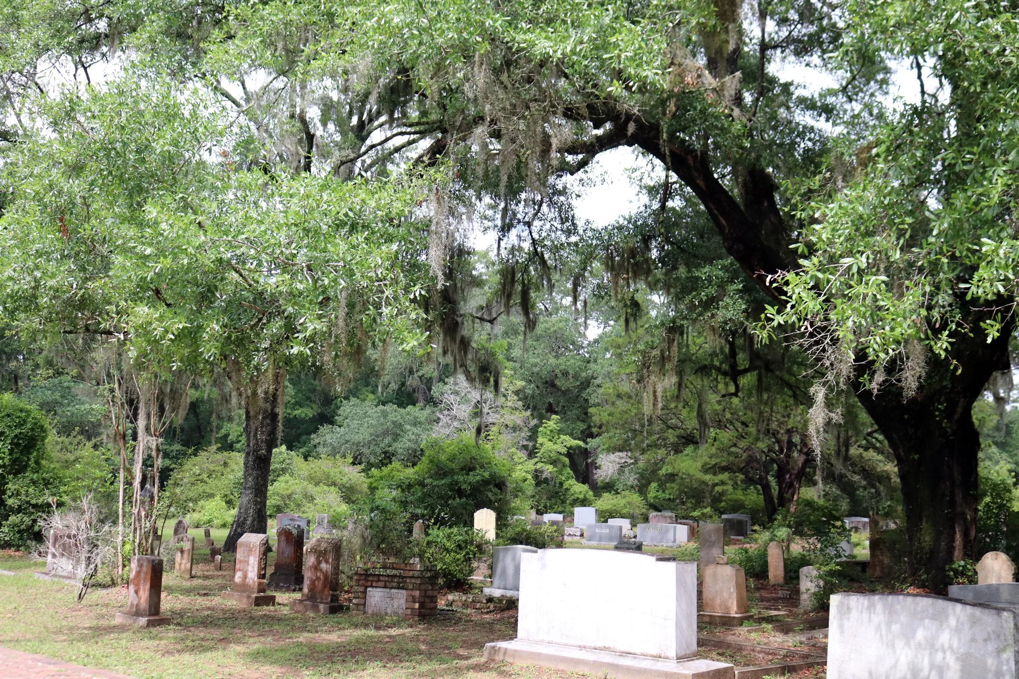 Lowcountry South Carolina. Stitched in Color.jpg