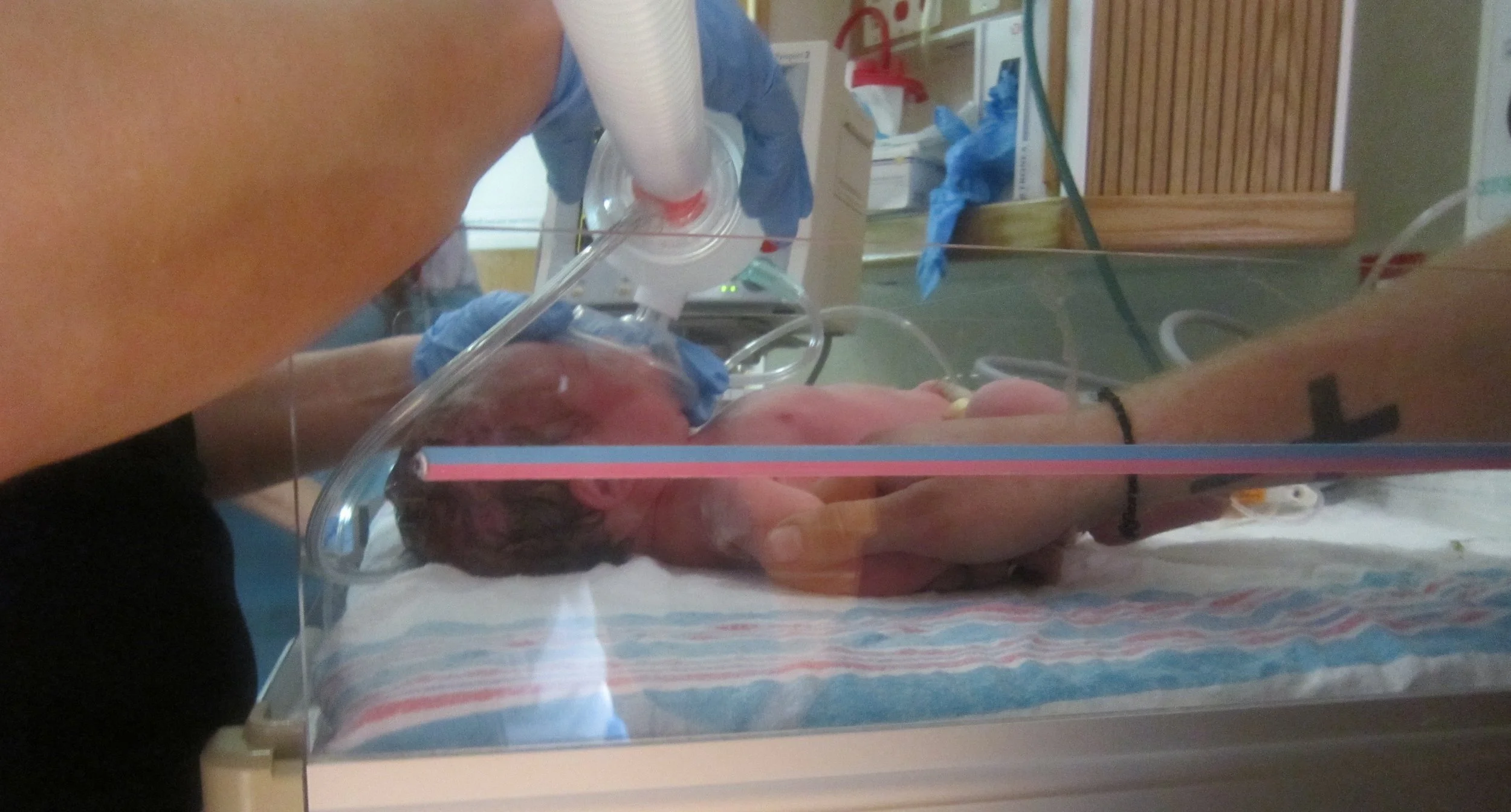 the Missing Story of Eleni's Birth