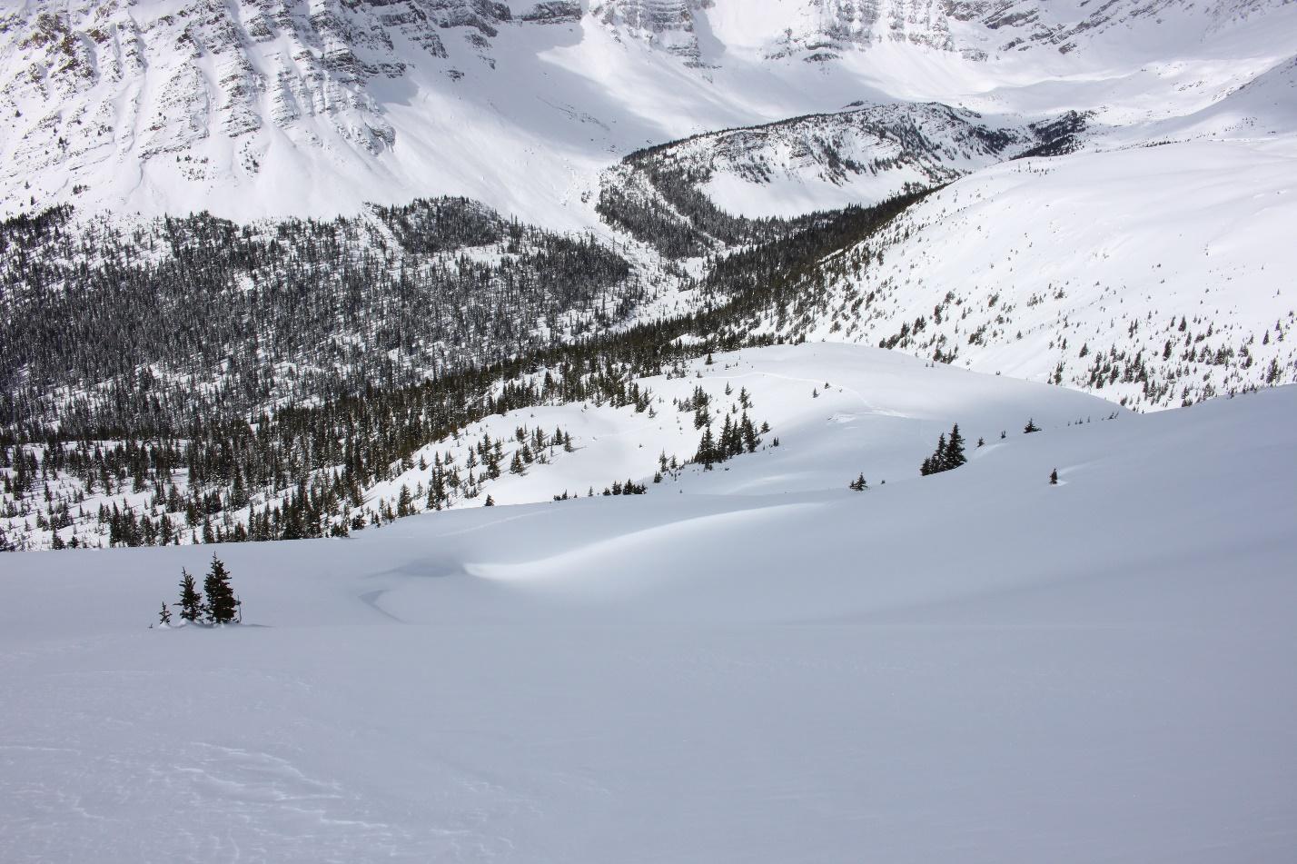 Our ascent tracks from the top of an unnamed rise.