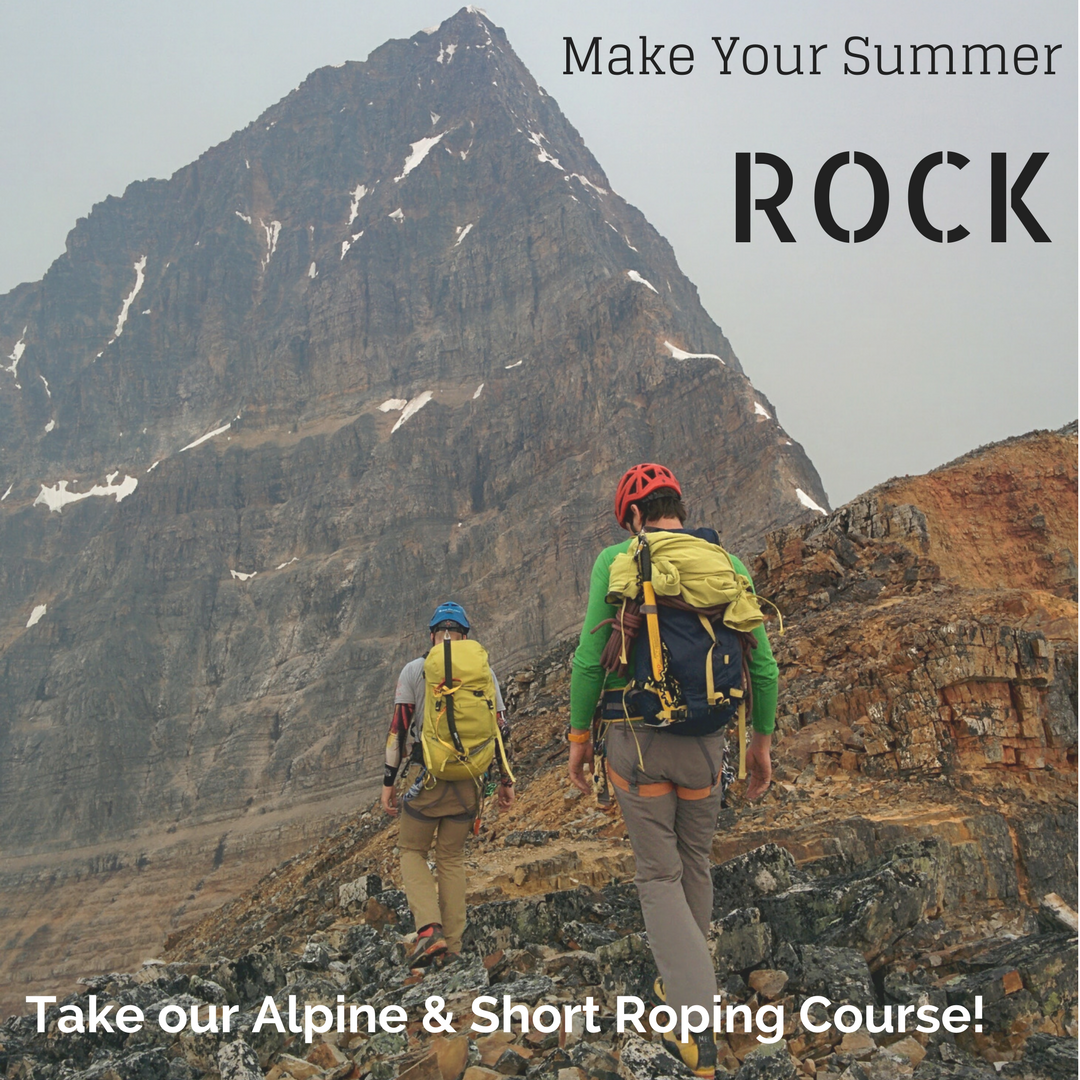 ACC Summer Course Advert #3.png