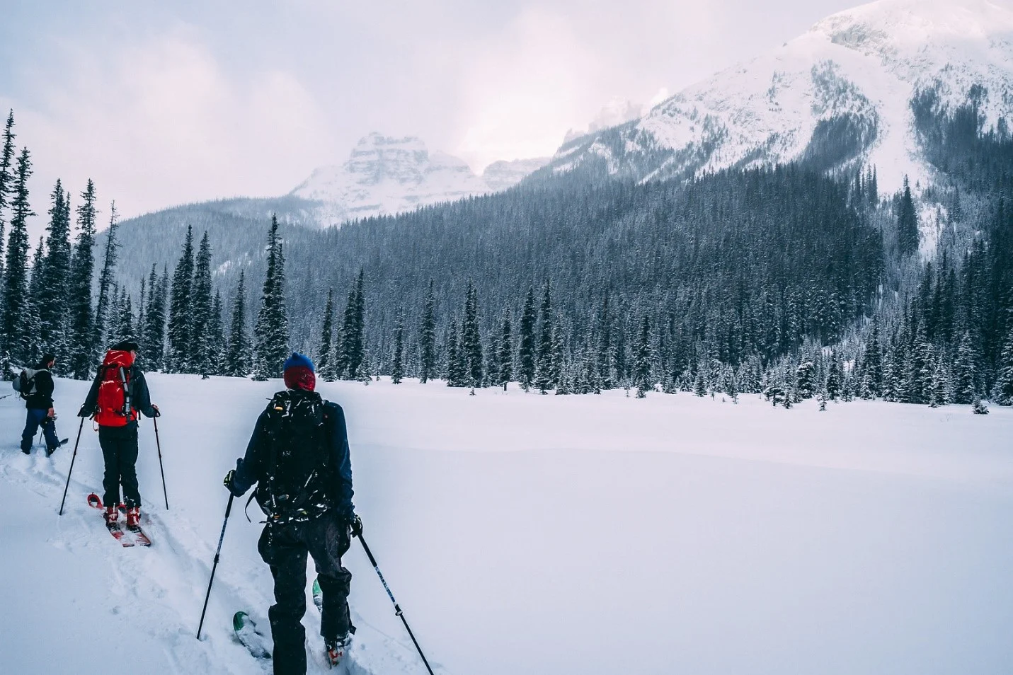  We left Lake O’Hara Road just after the 3km marker. This meant a bit more trail breaking through a beautiful meadow. Stay on the road for another 400m to save a bit of time.