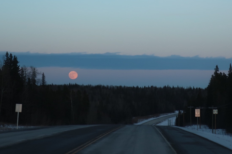 The drive home was punctuated with that amazing blood moon!