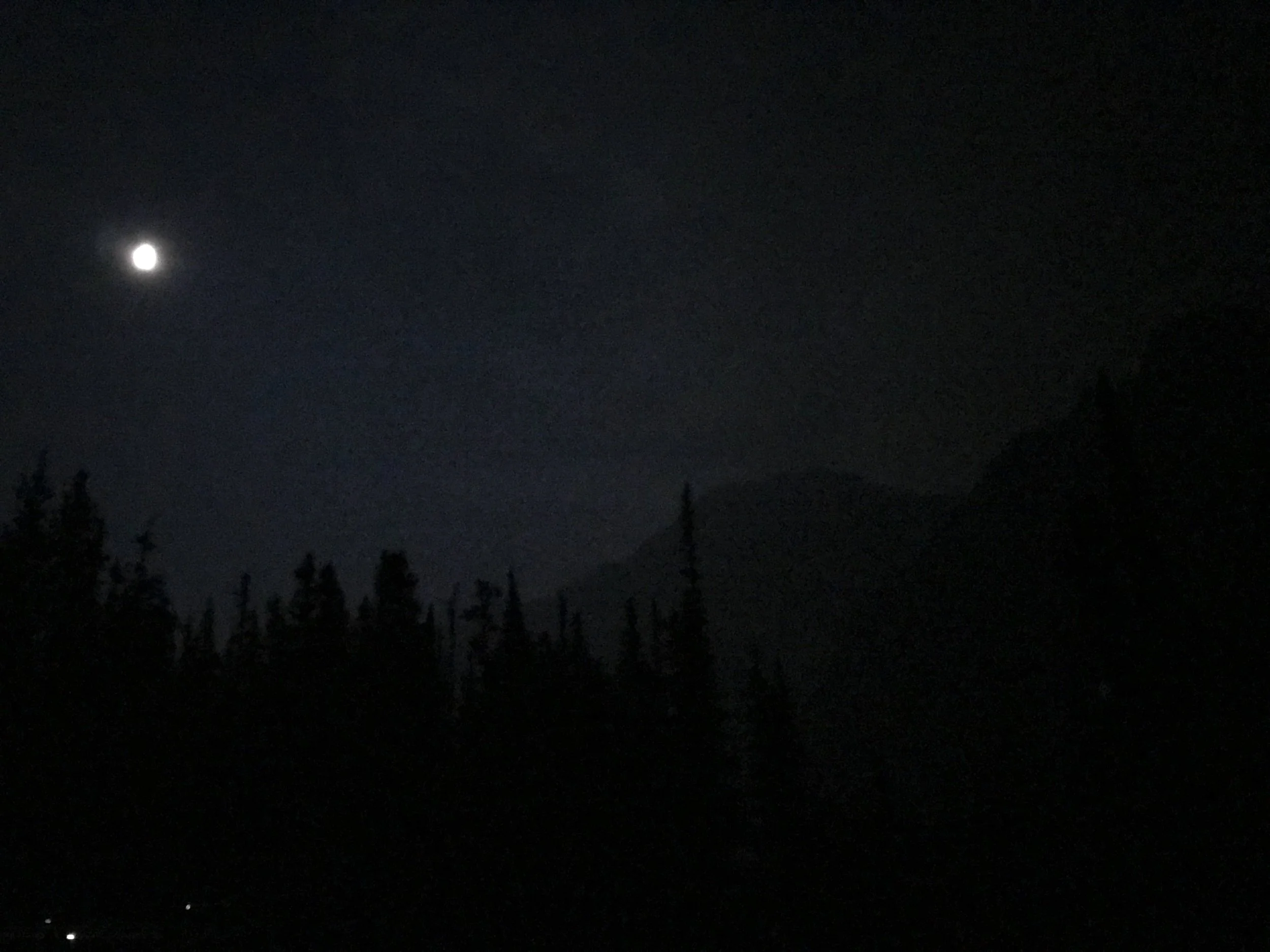 Cavel Moonlight Silhouete